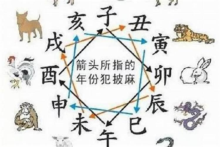 重阳节都干什么事情
