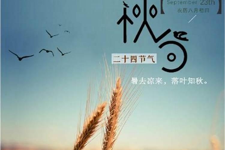 男的本命年送什么礼物好？