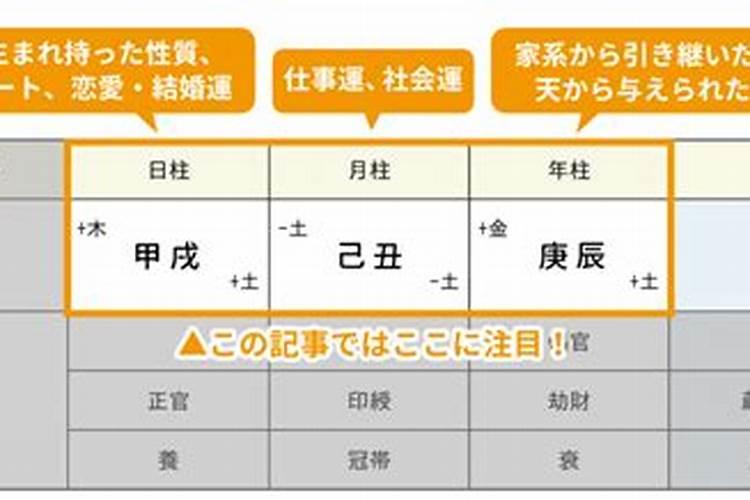 乙酉日柱男2025年运势