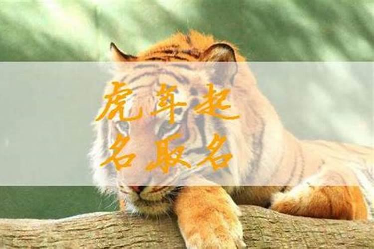 2023癸卯水兔年5月出生宝宝取名 宝宝属虎名字高分的
