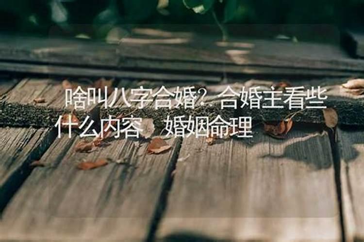 五行合好还是属相合好 八字合婚主要看什么