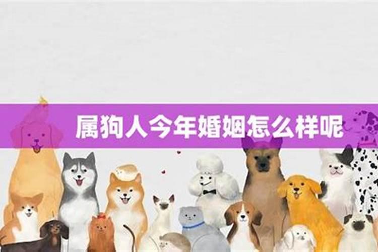 1999年阴历十月初三未时生人是童子吗