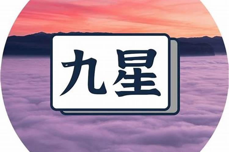 属兔人2025年综合运势