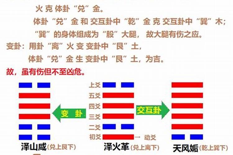 属马女和属猴男的婚姻配吗