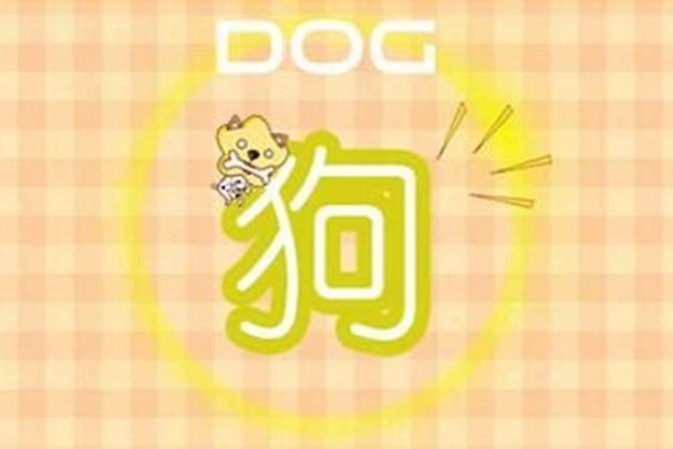 属狗女和属狗男相配吗(八字很合)