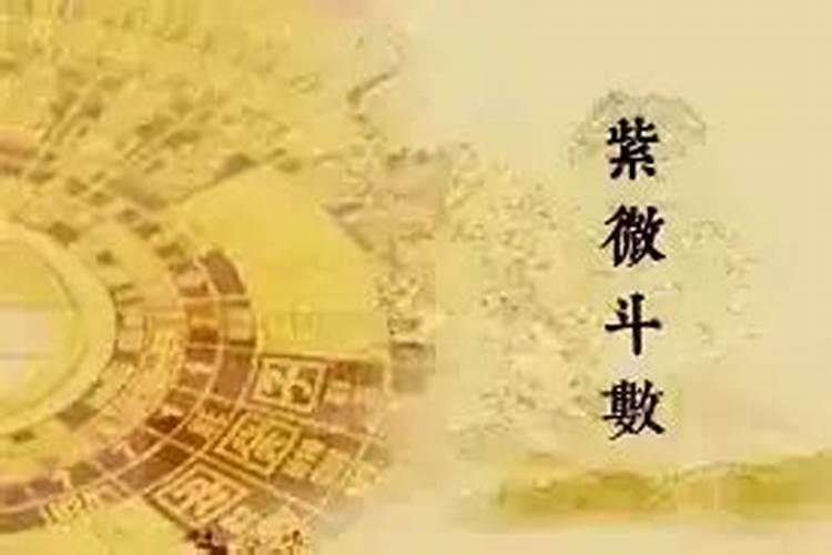 梦见前妻结婚了是什么意思
