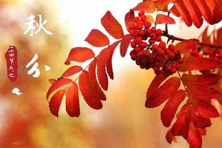 壮族中元节的特点？