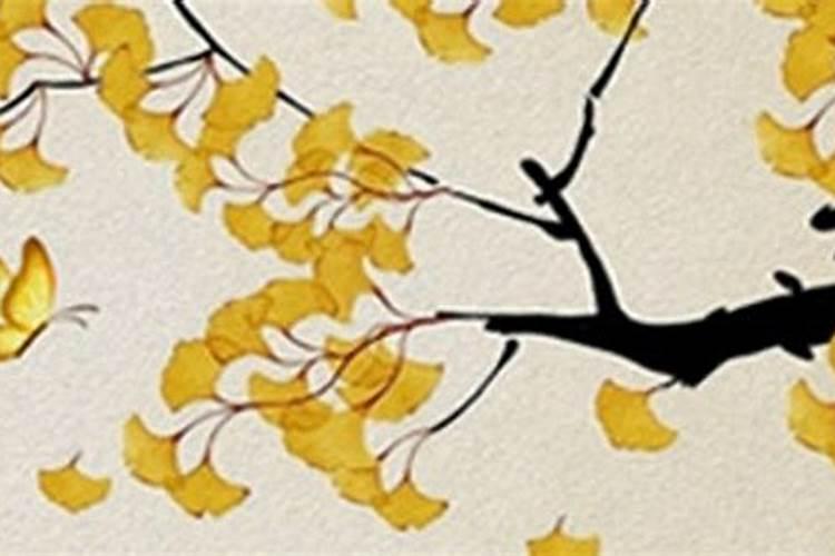 童子命什么意思