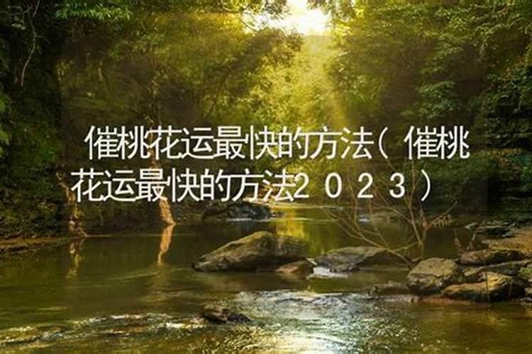 1991属羊哪一年运气最好