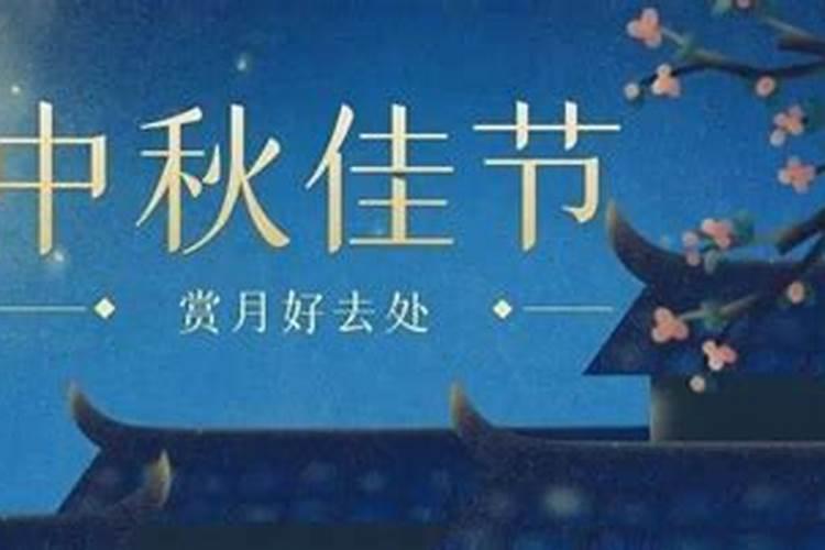 2025年5月6冲什么生肖