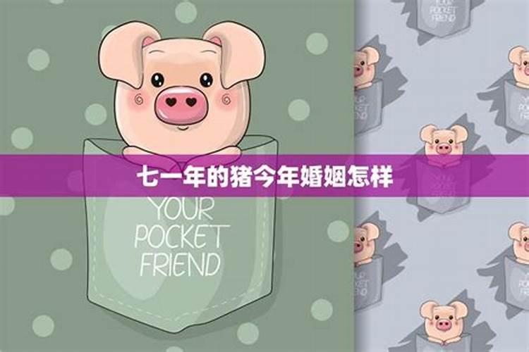 七一年属猪男每月的运势