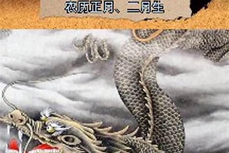 春节家中摆什么最旺财运