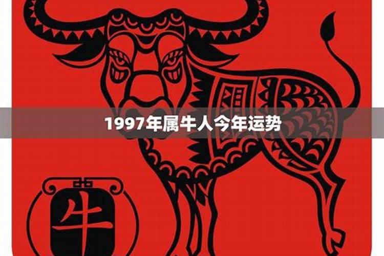 1977年蛇女2025年运势完整版