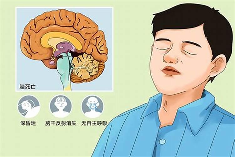 2025属猪今年有一难 属猪人2025年综合运势
