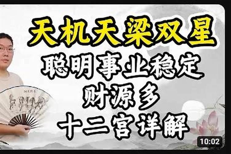 天机天梁在夫妻宫姻缘 天梁化权禄分析？