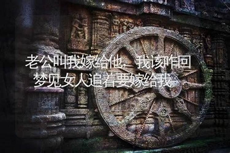 75年的兔今年财运怎么样