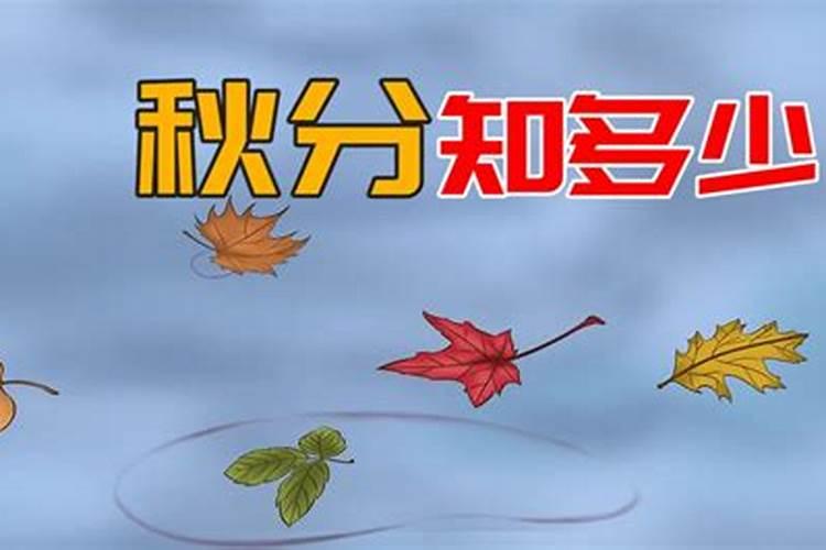 正月十五回娘家有什么说法