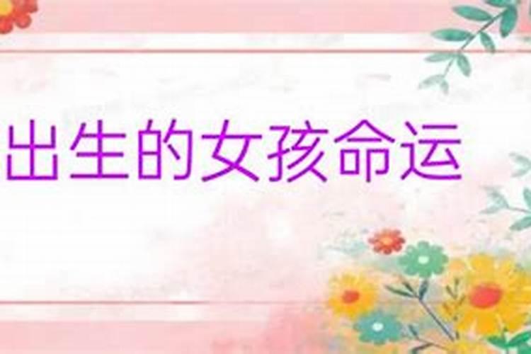 属虎的在猴年运势,属虎的遇到猴年好吗