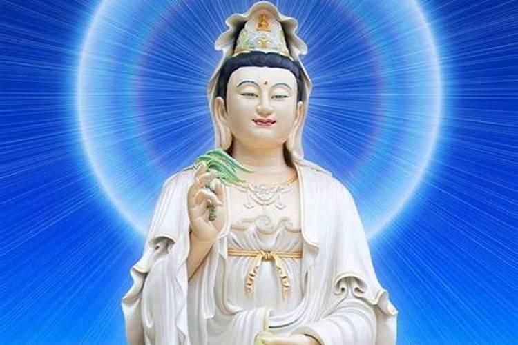 有哪些关于观世音菩萨的经典语录？