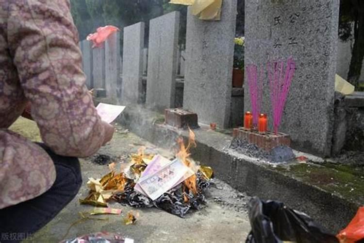 81年属鸡人在2025年的全年运势
