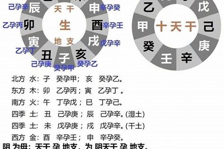 女乙丑年丁亥月丙辰日和男乙丑年辛巳月壬戌日八字合不合？