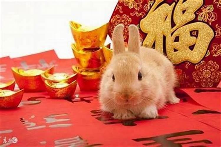为什么财运一直不顺 财运差要注意什么