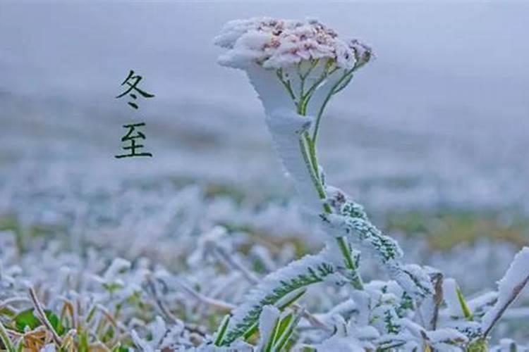 八字命理中地支相破有什么危害？丑辰相破影响大么？