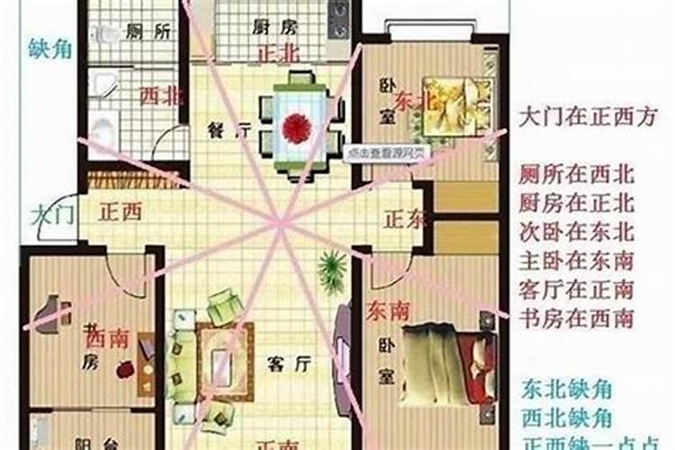 广东的冬至是什么意思