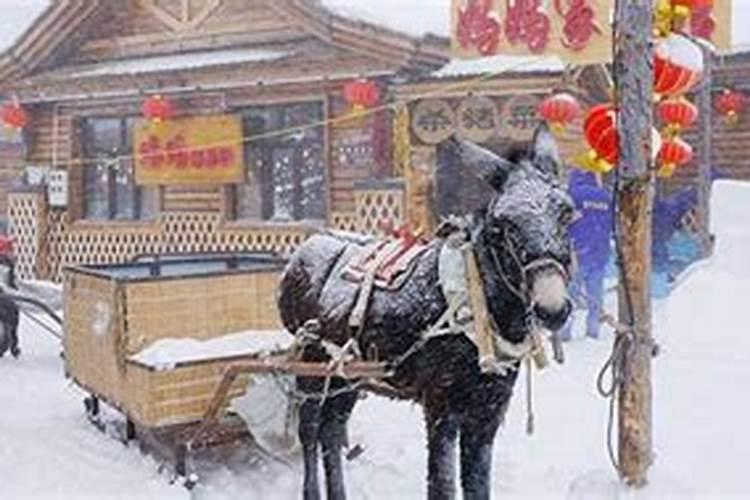 男人梦见掉牙齿是什么征兆