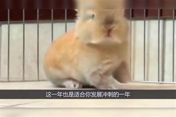 上元中元下元节分别是什么节