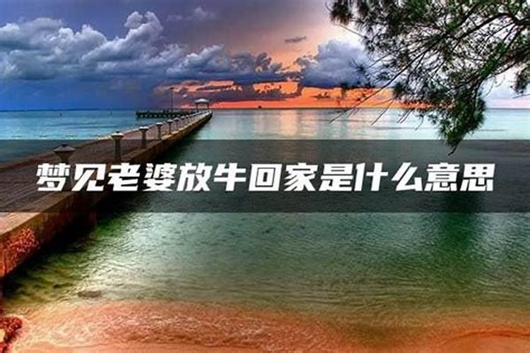 梦见媳妇自己开车回家了的预兆