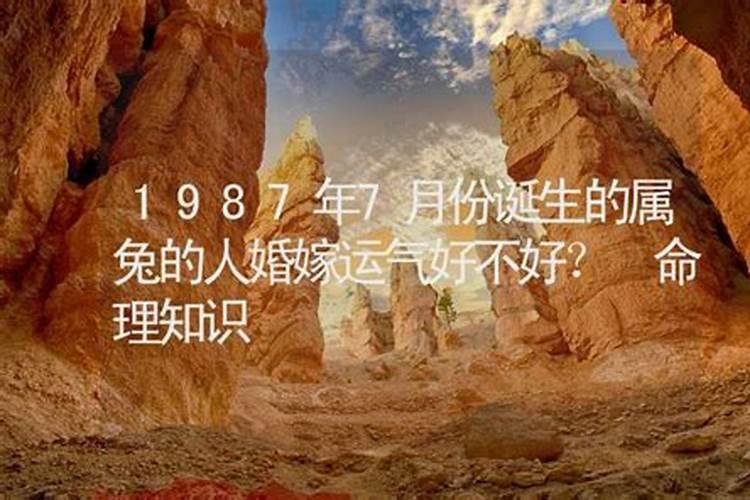 兔年生的宝宝几月几日命最好 兔年宝宝事业运好吗？