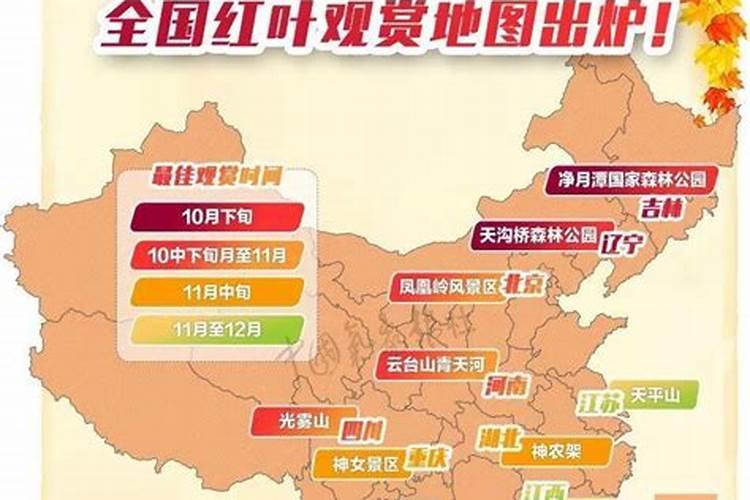 80年属猴2024年运势每月运势