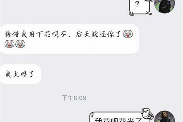 属鼠十二生肖事业运程