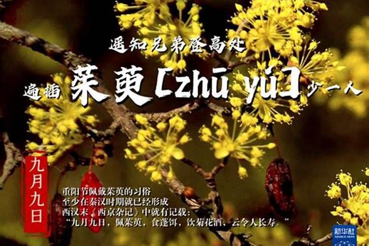 2025年4月11日12生肖财运指数是多少