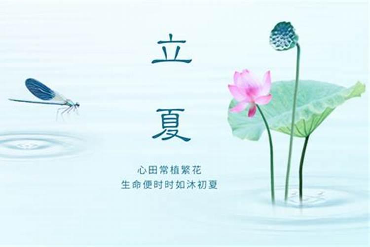 89年的蛇2025年运势