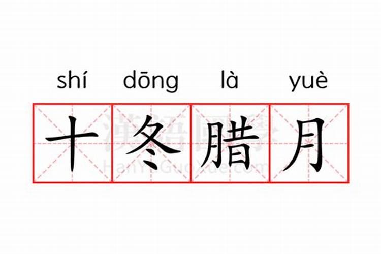 属鼠和属猪的合得来吗