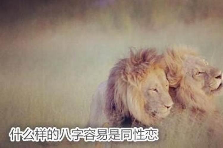 梦见自己的小孙女长大了