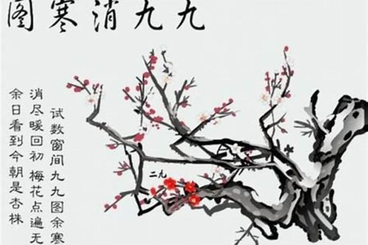 清明节必吃的10大美食