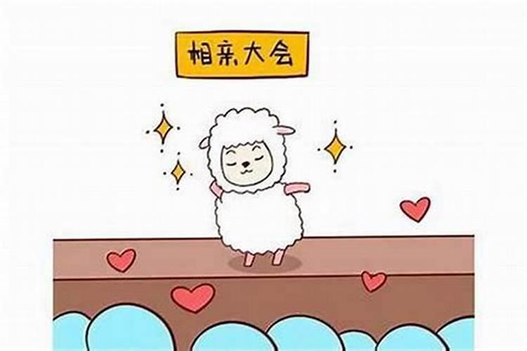 一九七九年属羊的是什么命