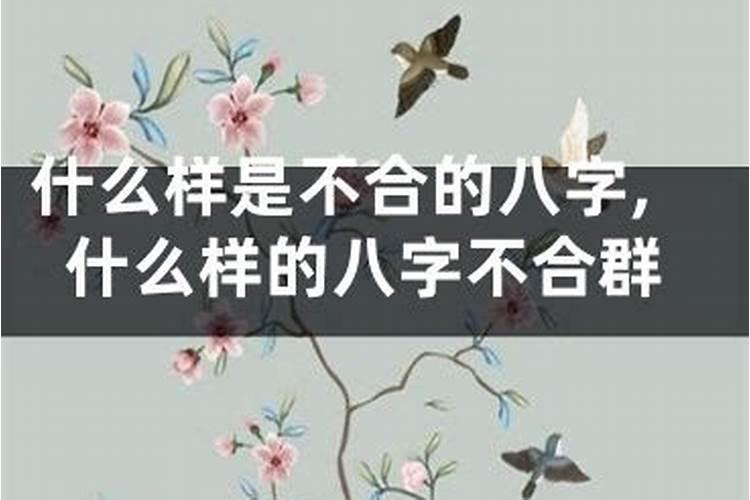 男属猴女属猪婚配好吗