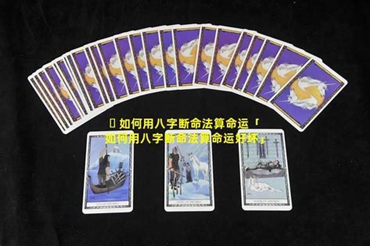 梦见小男孩是小人还是贵人