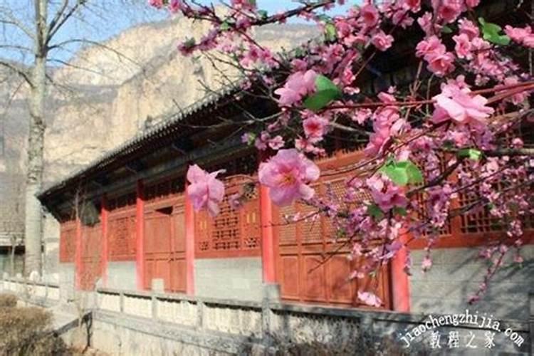 清明节三日游去哪 适合去哪旅游