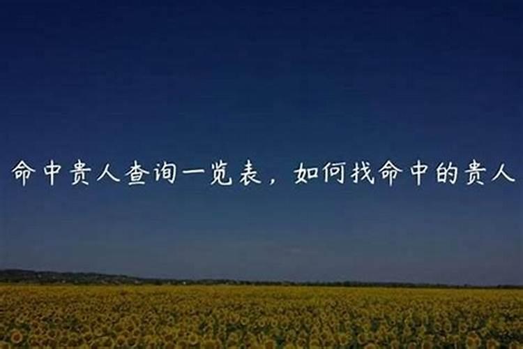 壬午生人如坐甲山庚向用庚寅庚申分金,如用壬寅天地同流格,请问是否属吉...