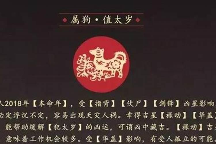 36本命年蛇年要注意什么