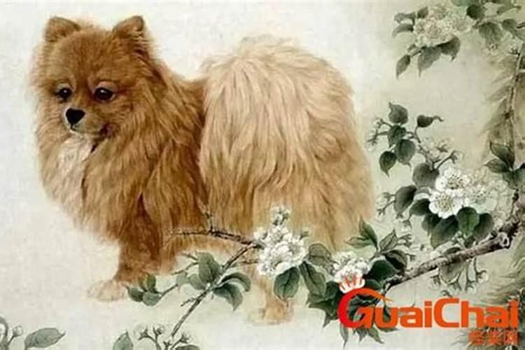 流年走到夫妻宫什么意思 流年合夫妻宫的运势说法？