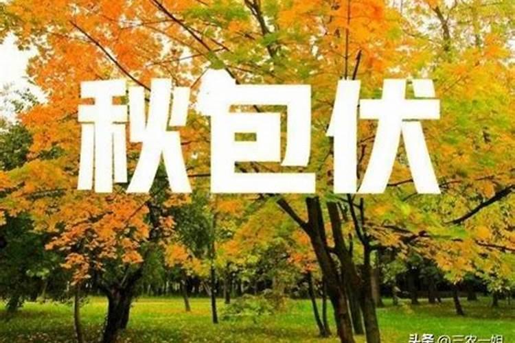 农历1976年腊月初七星座是什么