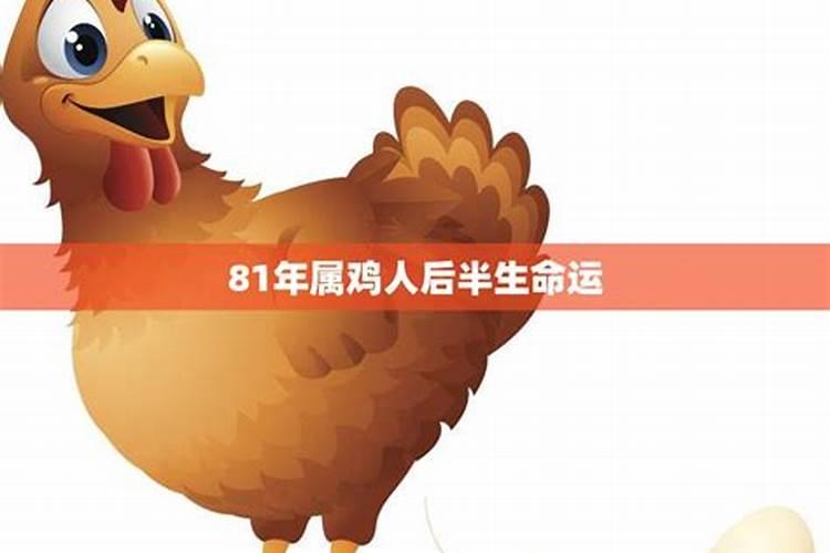每年都是什么命