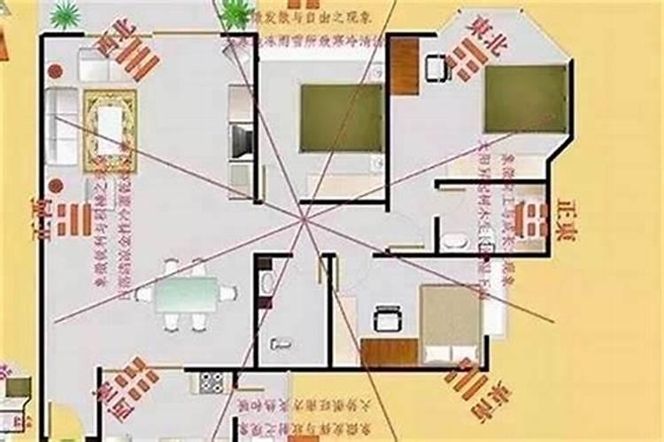 2025属猪的贵人和小人是谁