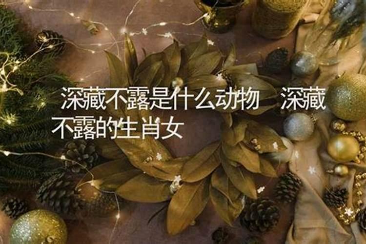 哪个生肖女深藏不露 实力深藏不露的生肖女